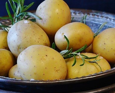 Welche Kartoffeln sind zur Zubereitung von Salzkartoffeln am besten geeignet