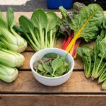 Pak Choi-Alternativen: Die besten Ersatzgemüse für Wok, Pfanne, Grill und Suppe pak_choi_alternative_3